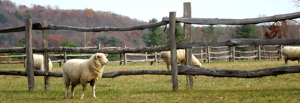 Small Scale Agriculture